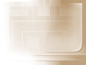 公司治理